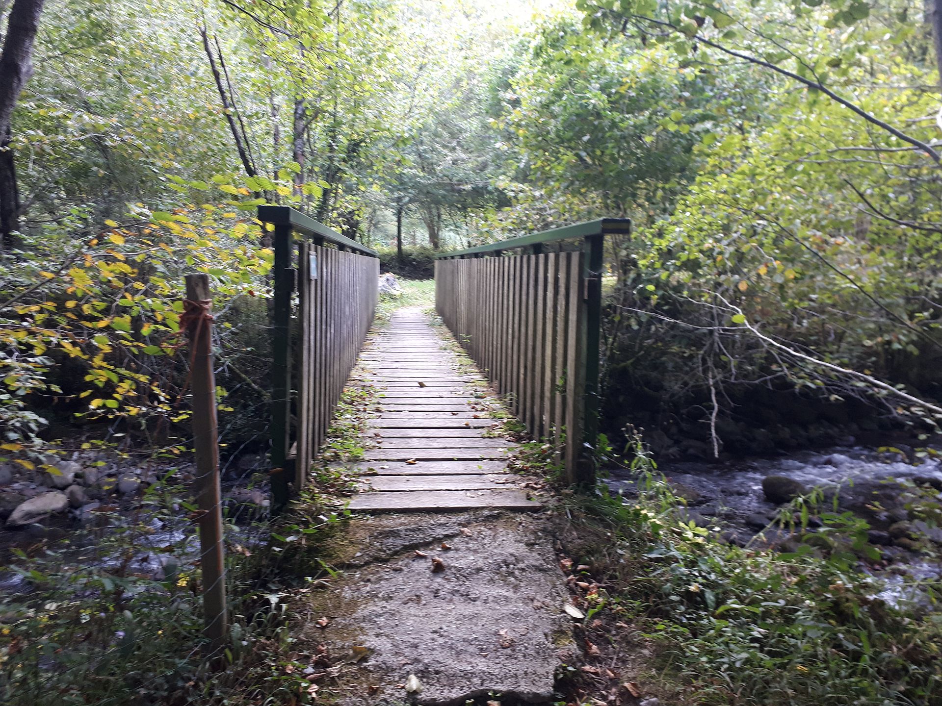 VTT N°17 - Le chemin de la transhumance — photo 3