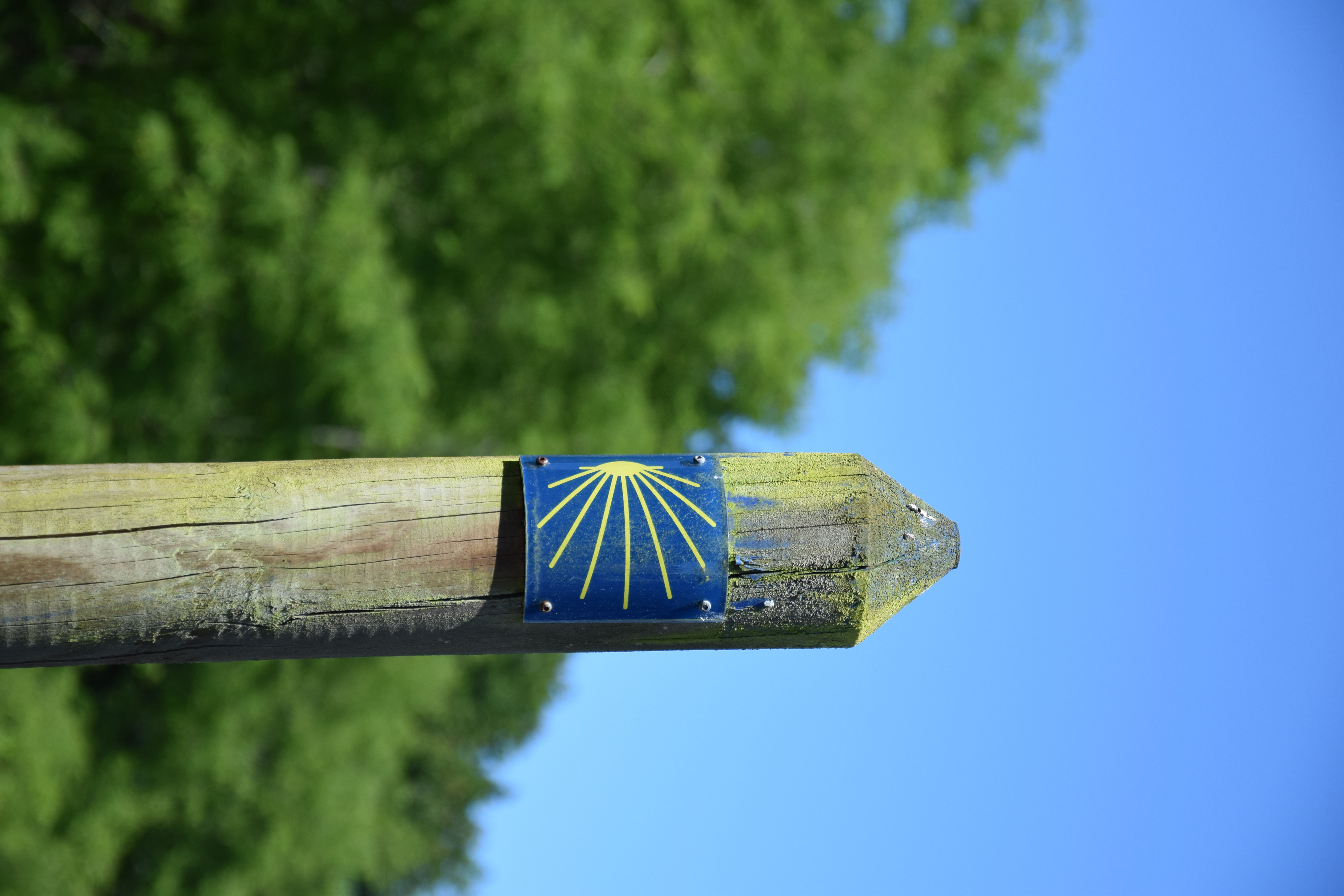 Chemin de Saint-Jacques-Compostelle par la Chapelle Saint-Jean-Baptiste de l’Hôpital, Le Verdon-sur-Mer - photo 4