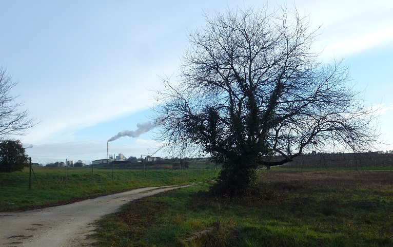 Chemin de départ avec vue sur distillerie