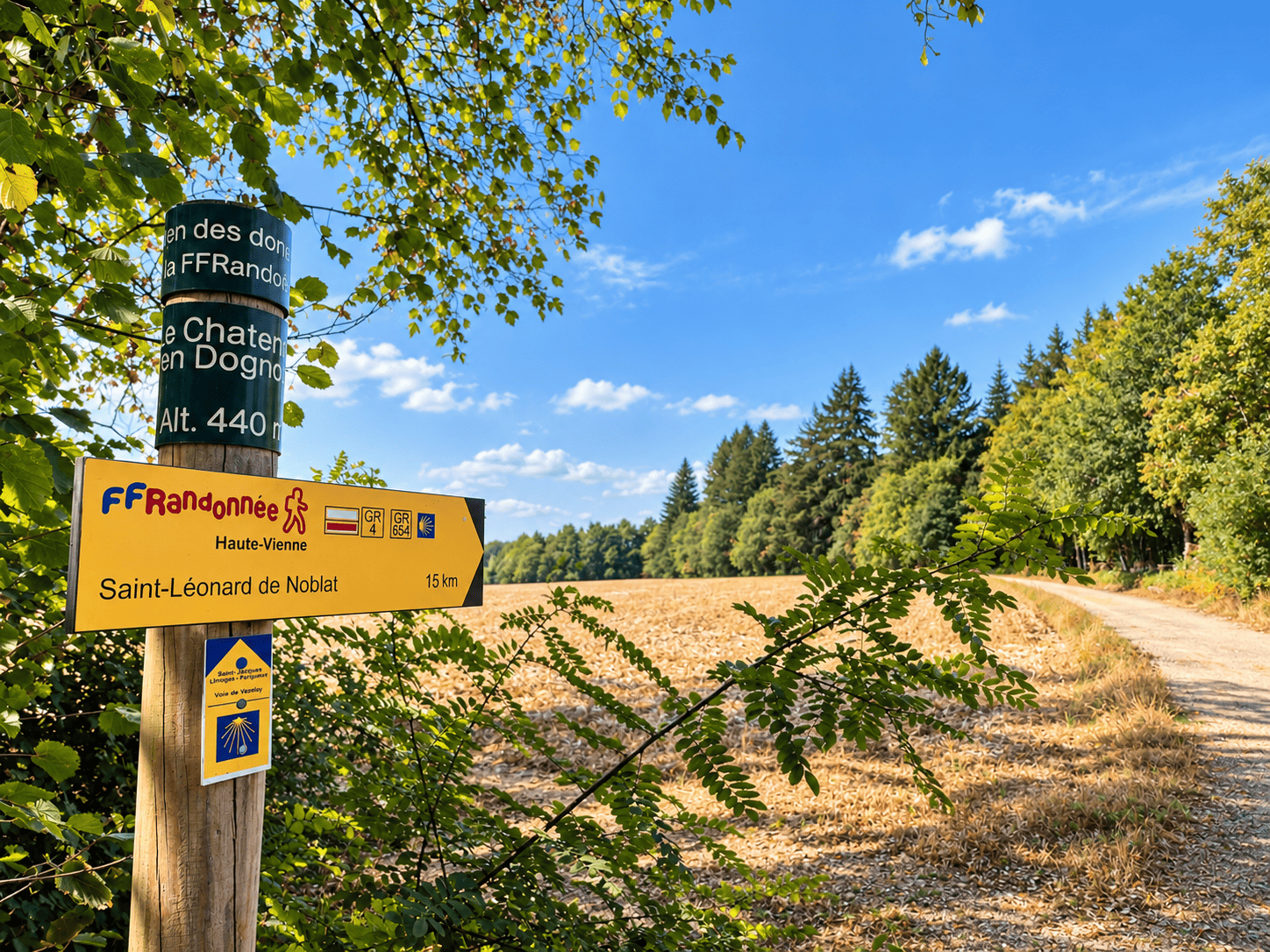 La Voie compostellane de Vézelay - GR 654®