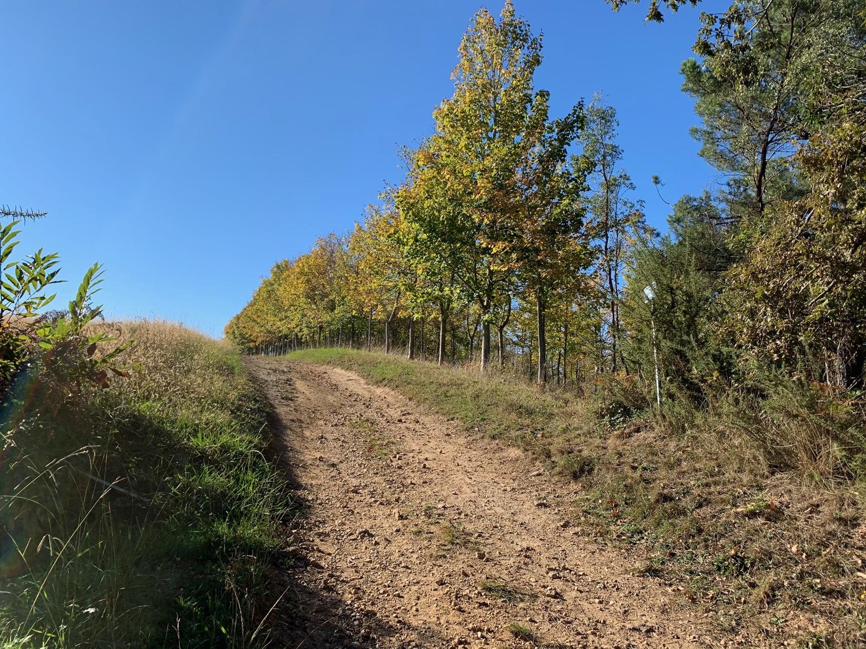 Le chemin des crêtes, Puyoô - photo 5