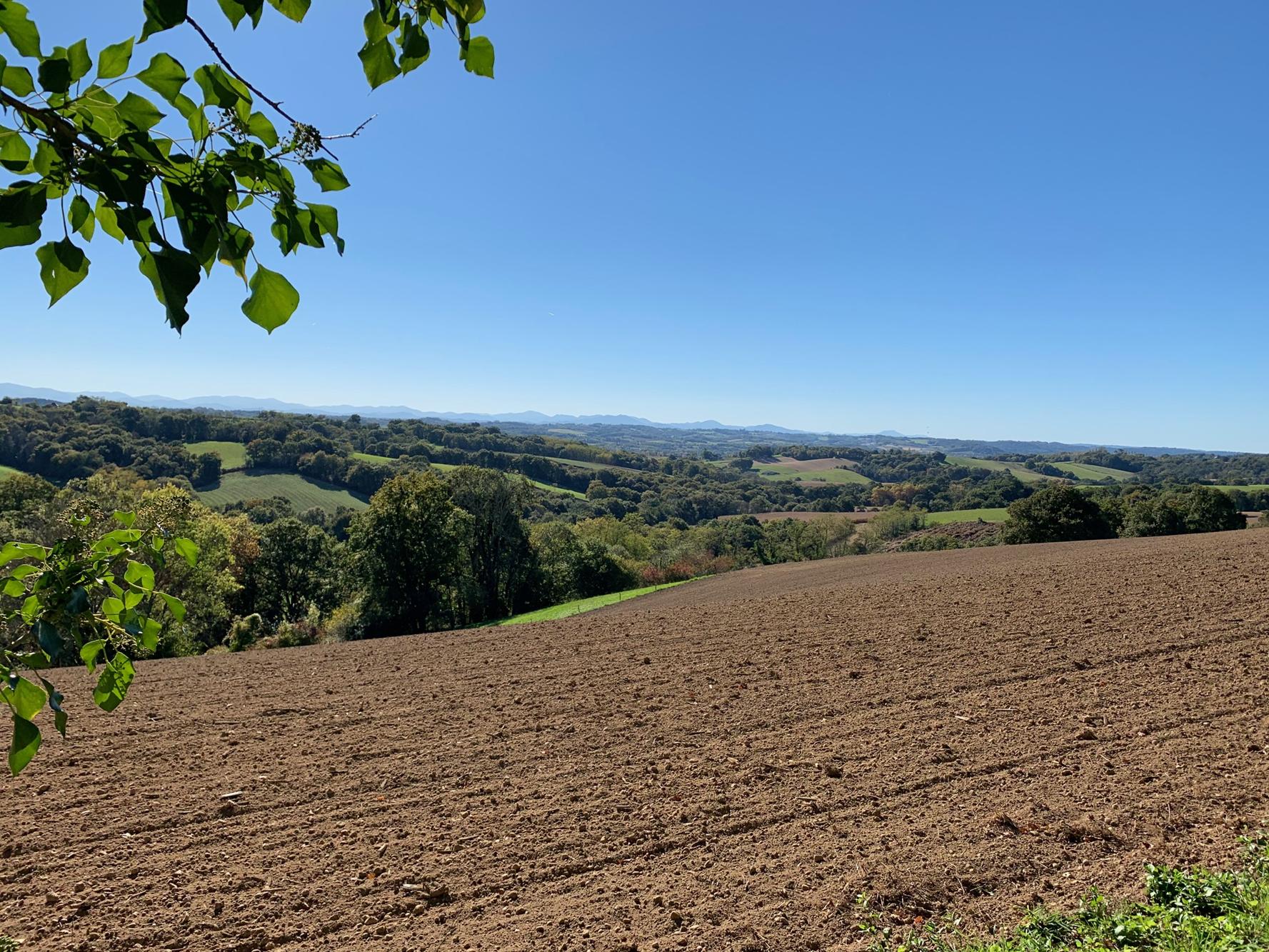 Le chemin des crêtes, Puyoô - photo 4