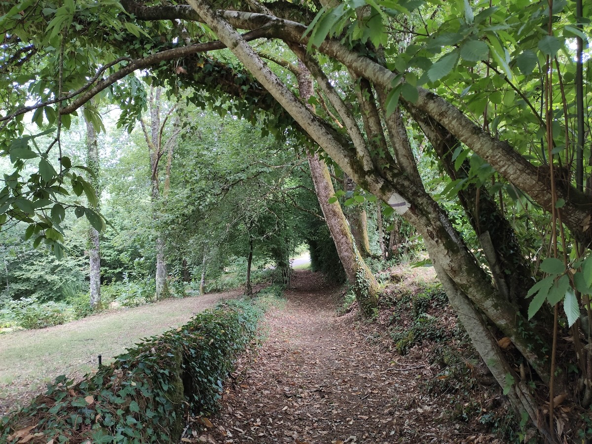 GRP® Monts et Barrages en Limousin - Etape 3 - De Saint-Julien-le-Petit au lac de Vassivière (Auphelle)