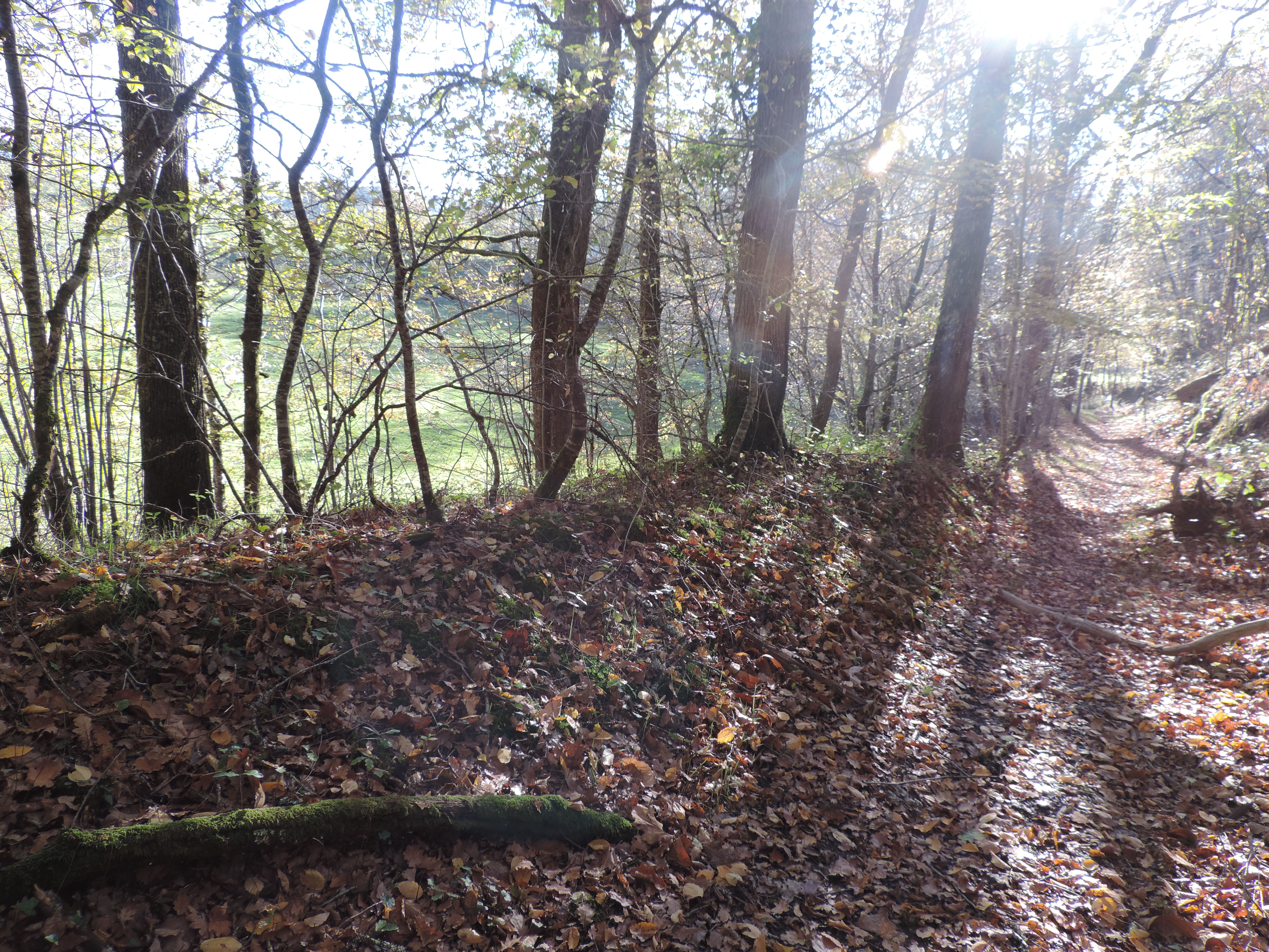 Chemin de la Queyrille, Queyssac-les-Vignes - photo 10