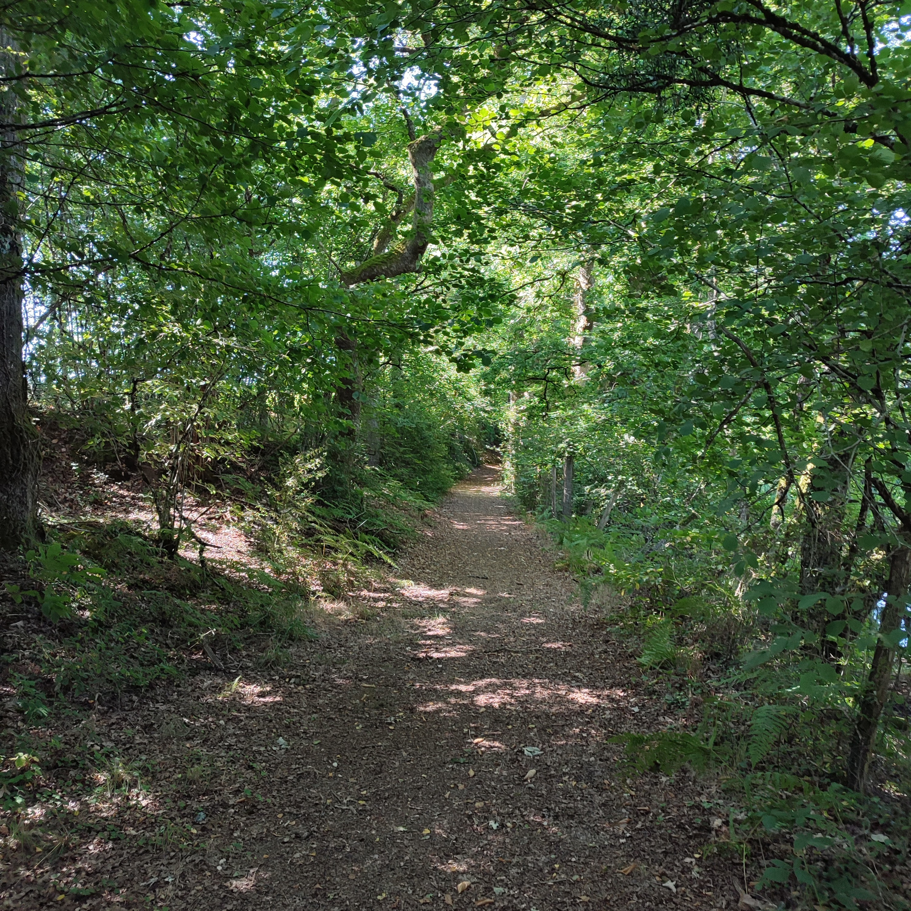 GR®de Pays Monts et Barrages en Limousin – Boucle Entre Combade et Briance – Variante d’Eymoutiers - Étape 3 - Saint-Méard à Châteauneuf-la-Forêt, Saint-Méard - photo 3