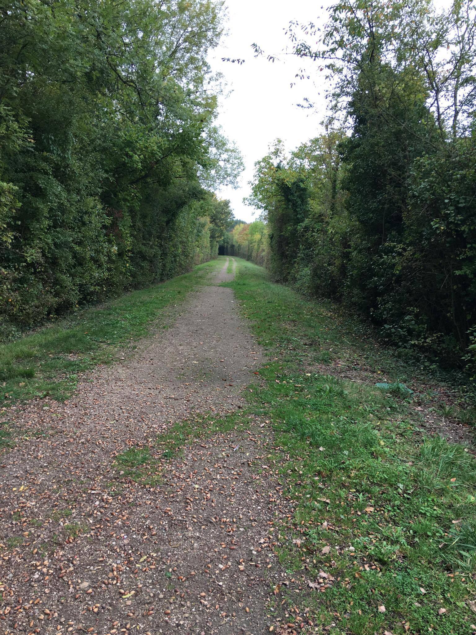 Ancienne Ligne de Chemin de Fer - Voie Verte