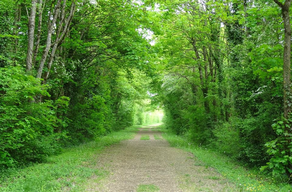 Ancienne Ligne de Chemin de Fer - Voie Verte