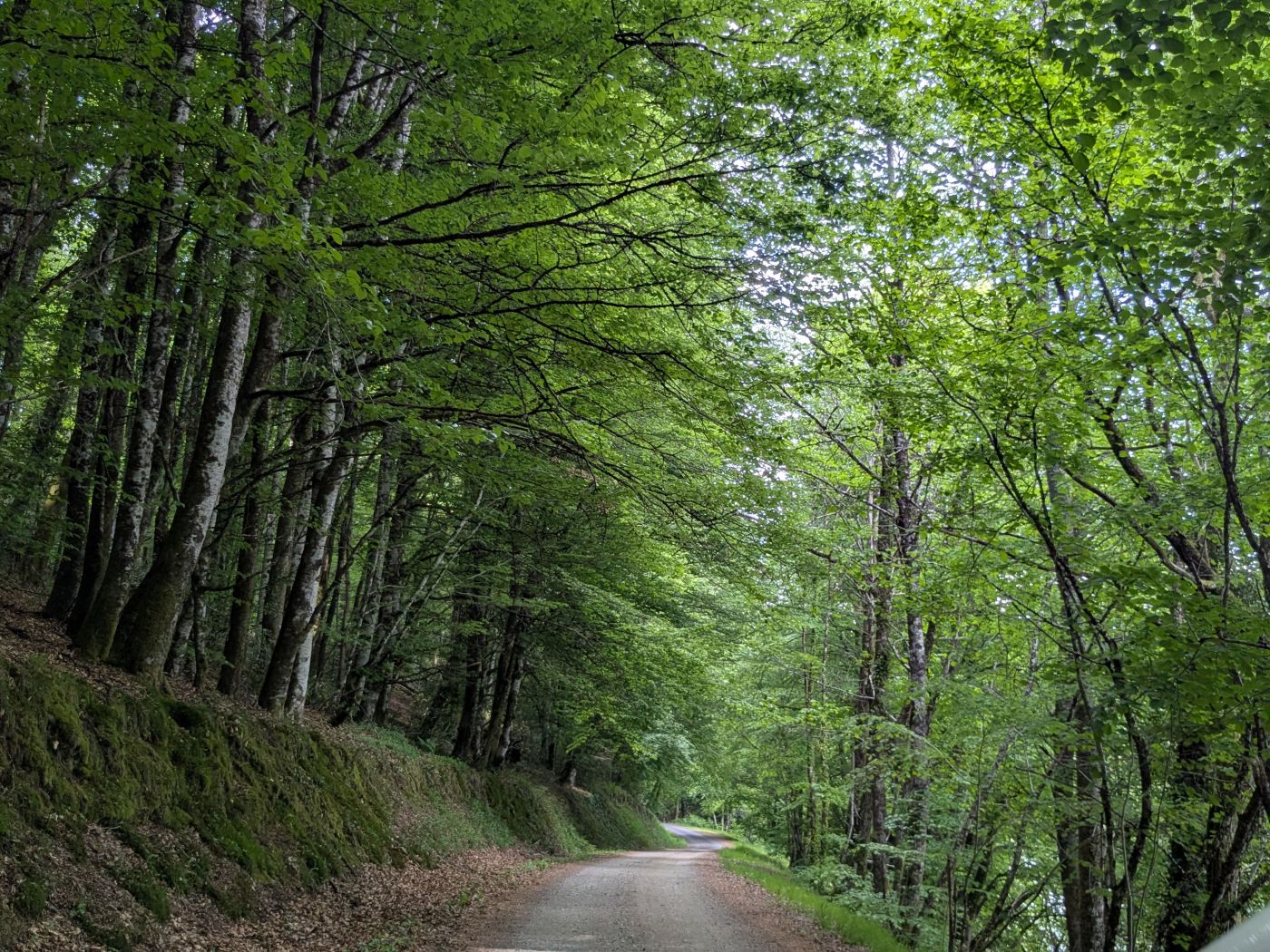 Géant Vert — photo 3