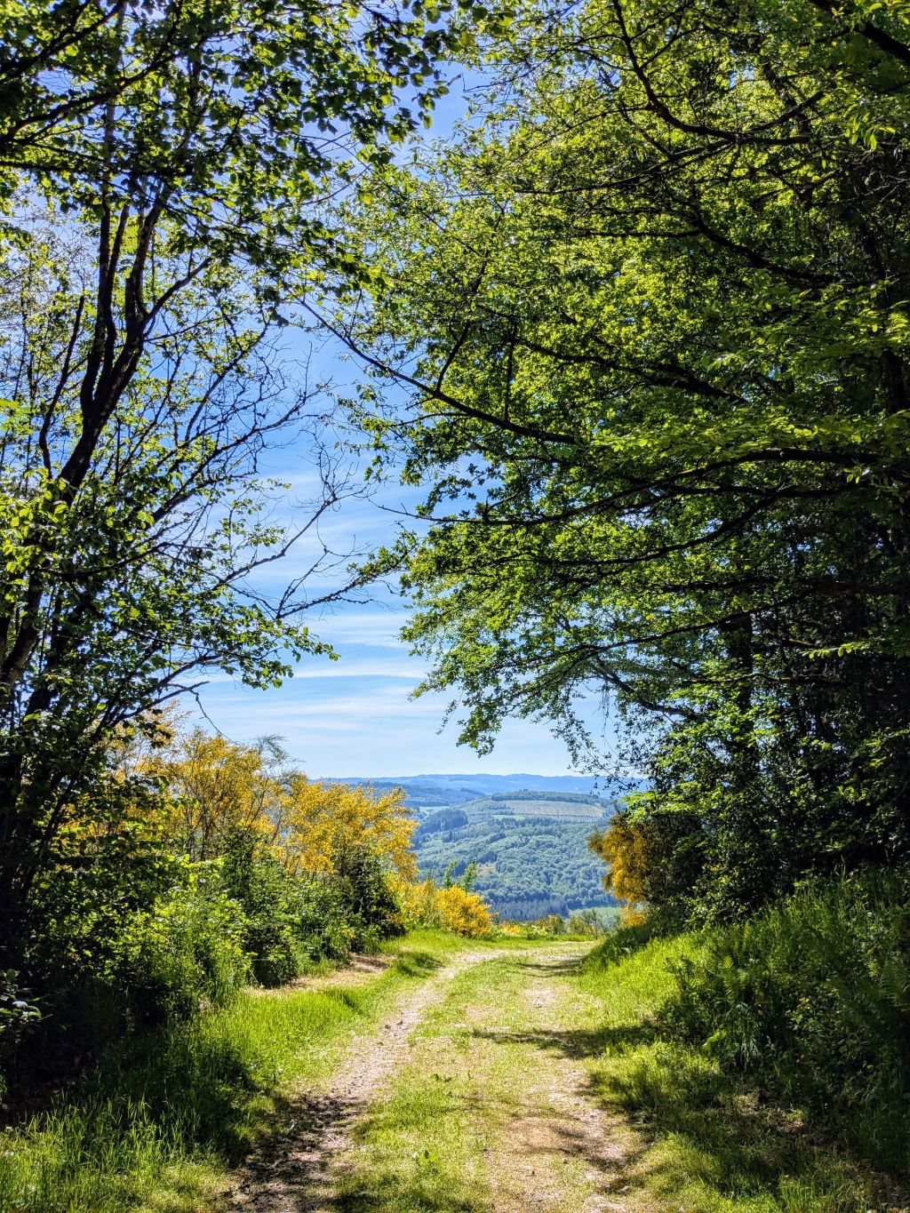 Trail du Mont-ceix