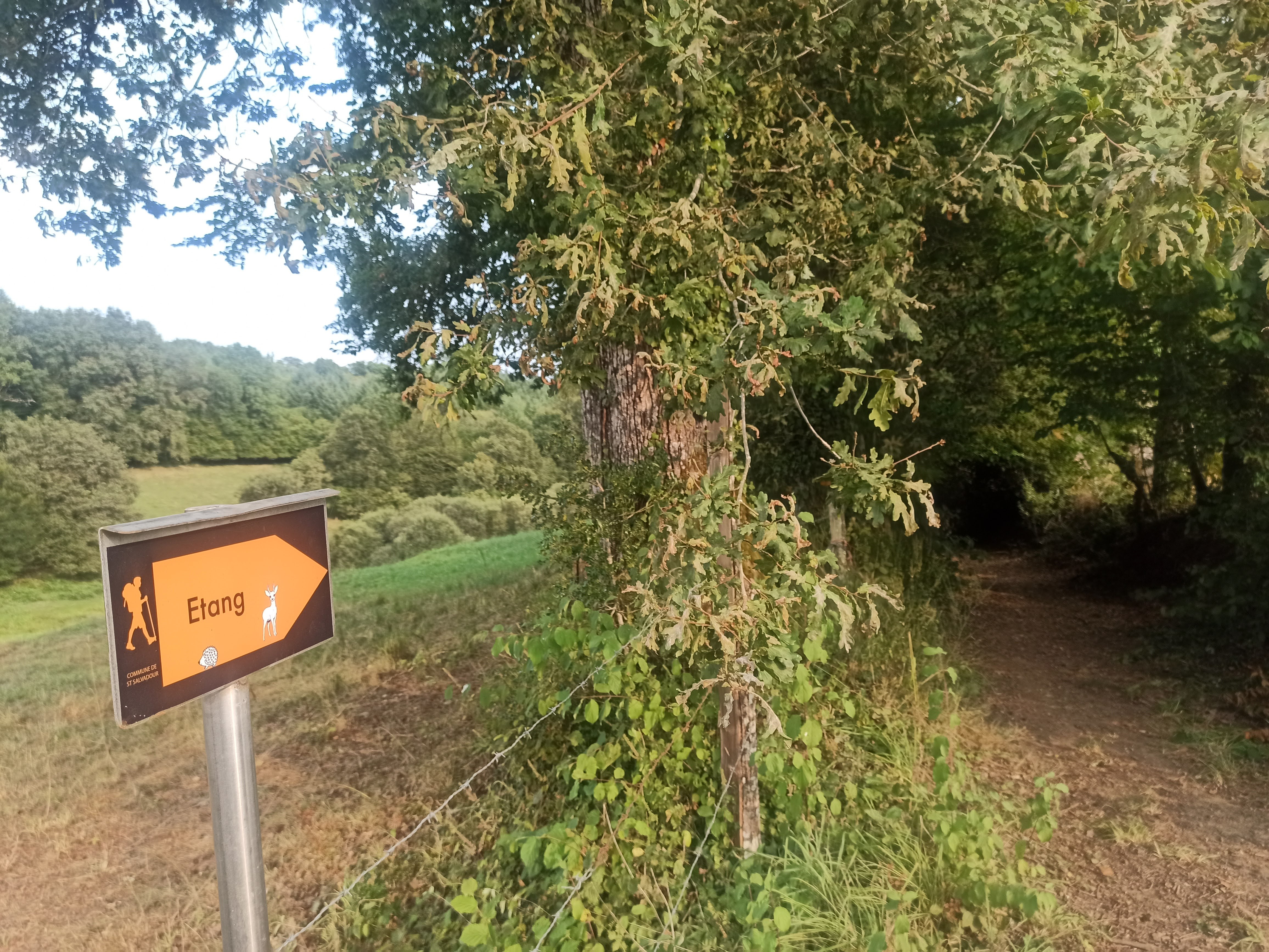 Circuit du Chevreuil, Saint-Salvadour