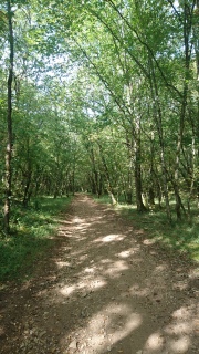 Boucle de Saint Chaubrant, La Dornac - photo 2