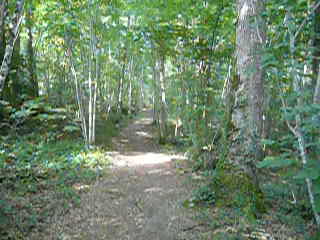 Boucle du CRAPA, Trélissac - photo 2