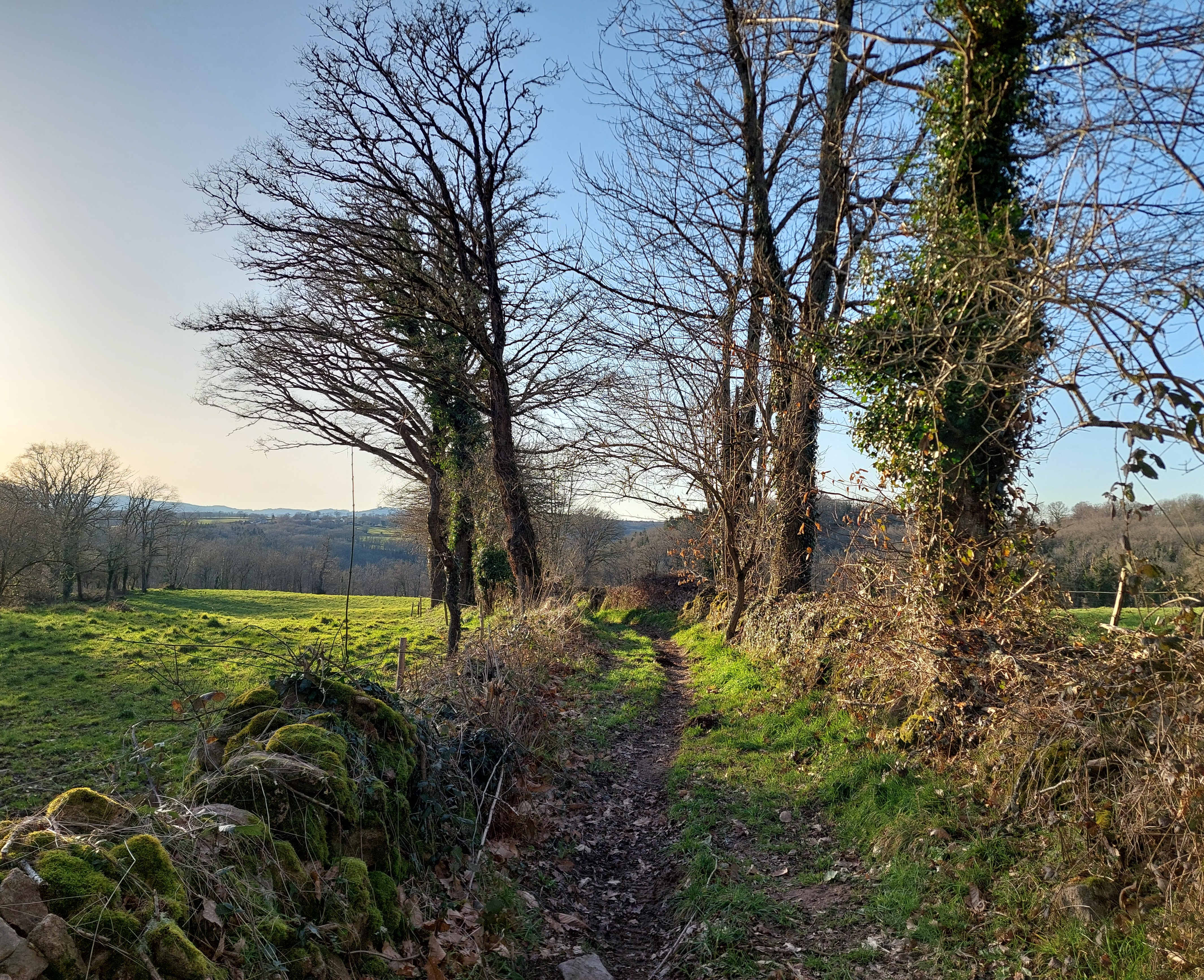 C10- L’ANCIENNE VOIE ROMAINE - Base VTT intercommunale Portes de la Creuse en Marche, Bonnat - photo 4