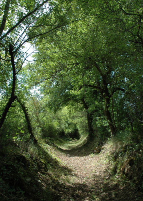 La Coquille en Ecomobilité - Un bol de Périgord -Limousin à l'Etang de la Barde