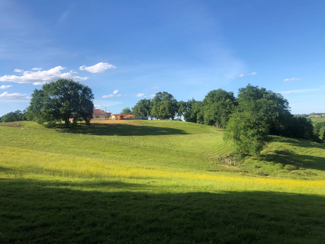 Le chêne de Yambert, Classun - photo 5
