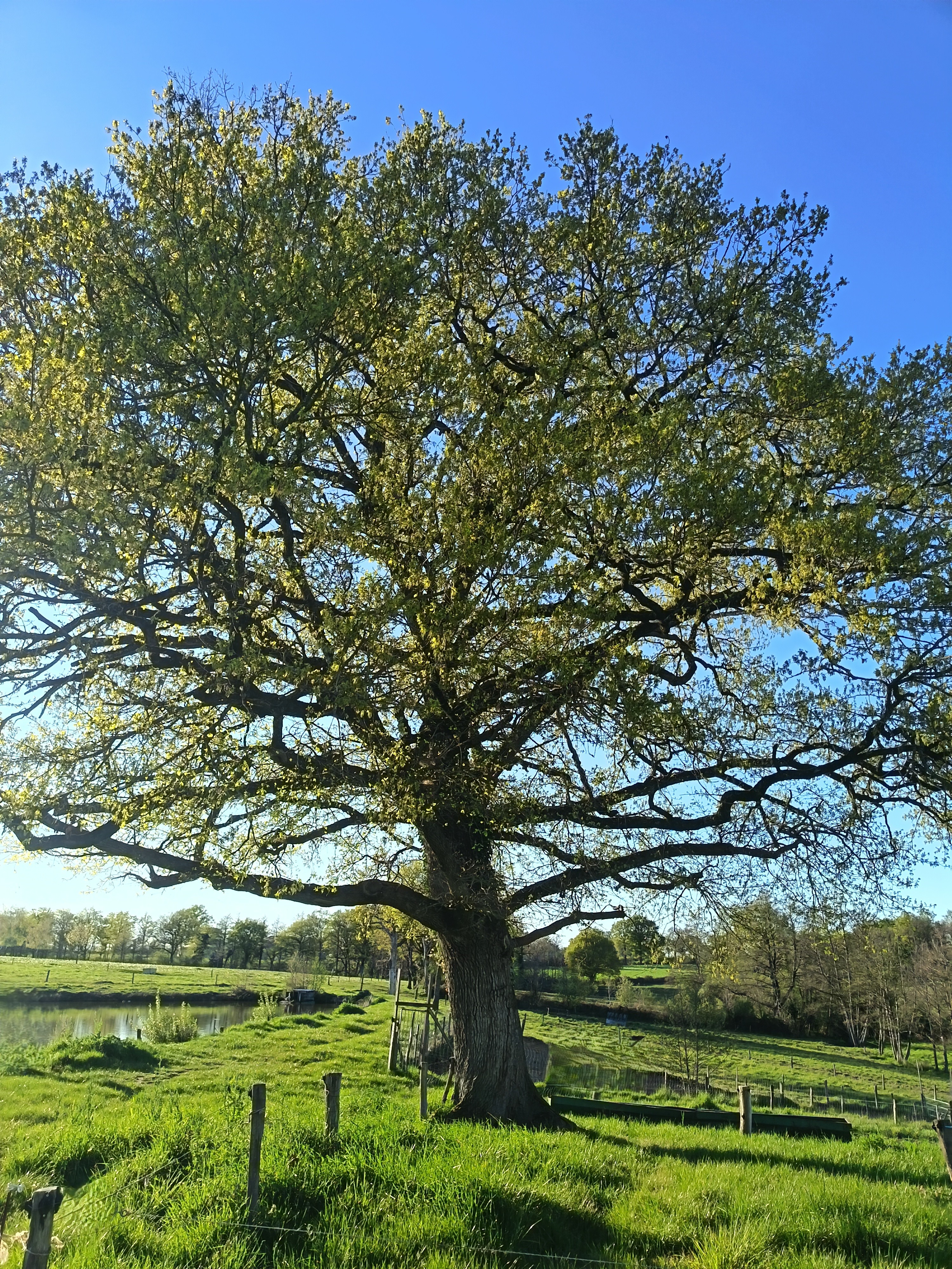Le grand gîte, Peyrat-de-Bellac - photo 30
