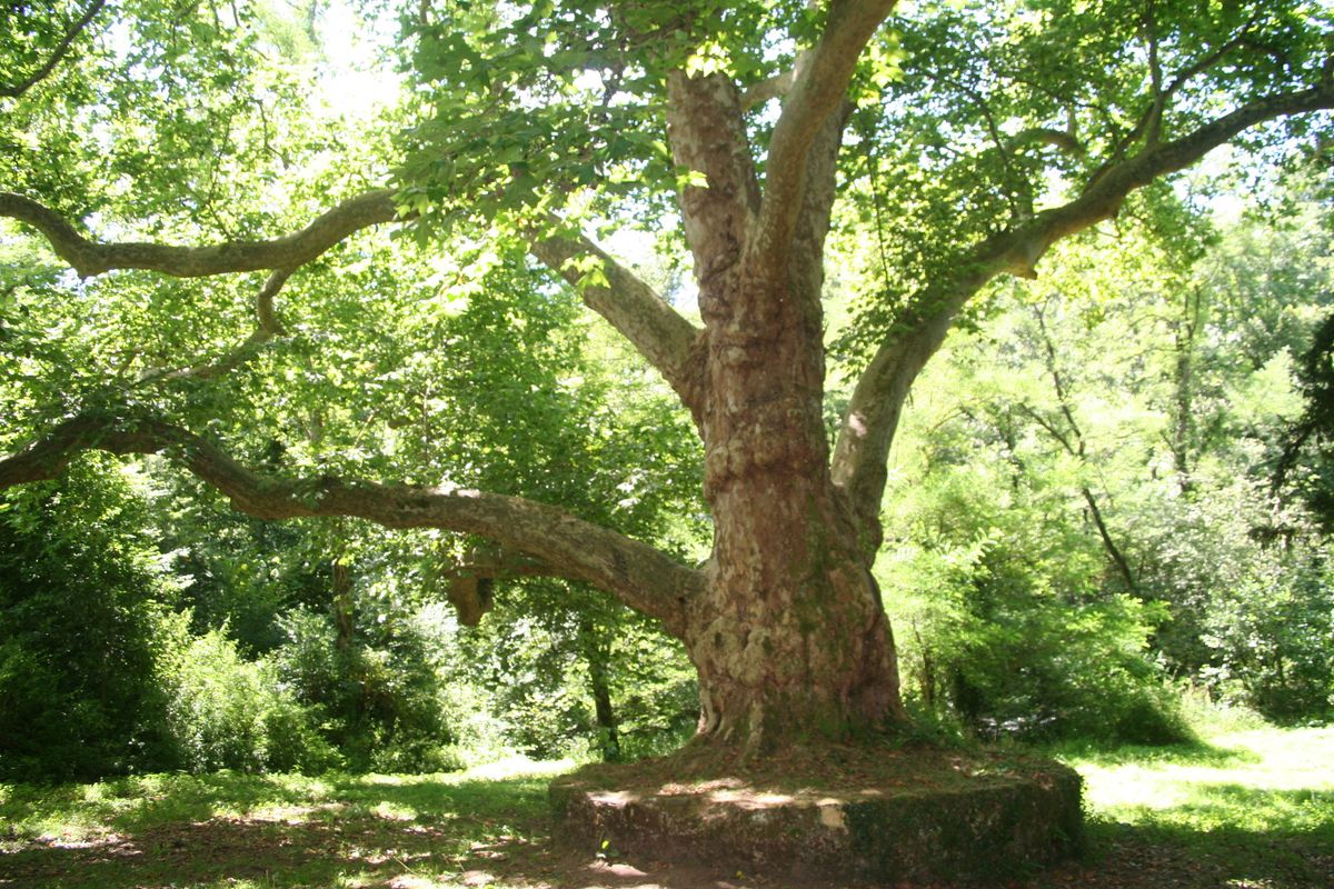 La Grande Boucle du Parc : Etape 5 : Les Salles Lavauguyon à Rochechouart
