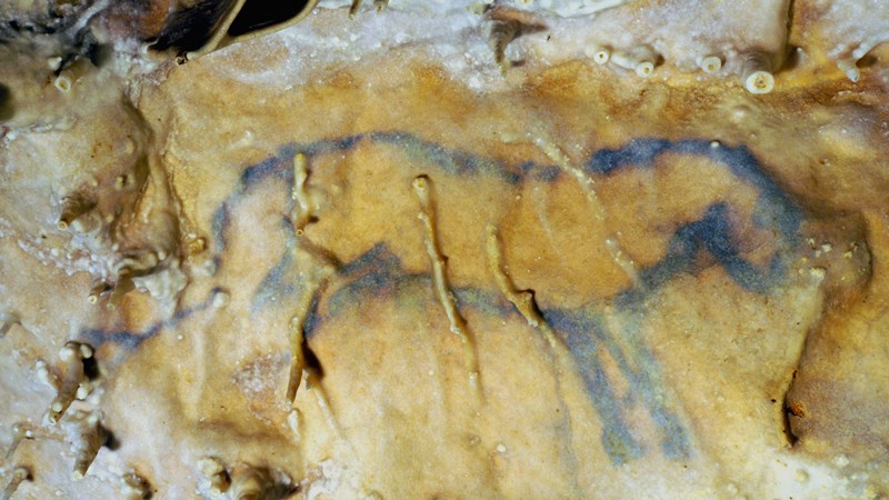 Grotte de Villars, Villars - photo 9