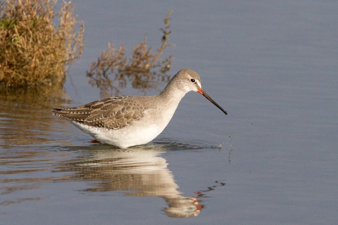 Lac de la Prade - photo 3