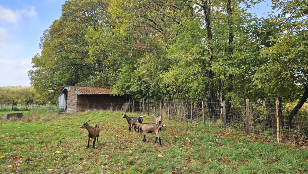 Aire de stationnement à La Chèvrerie de la Peytavigne