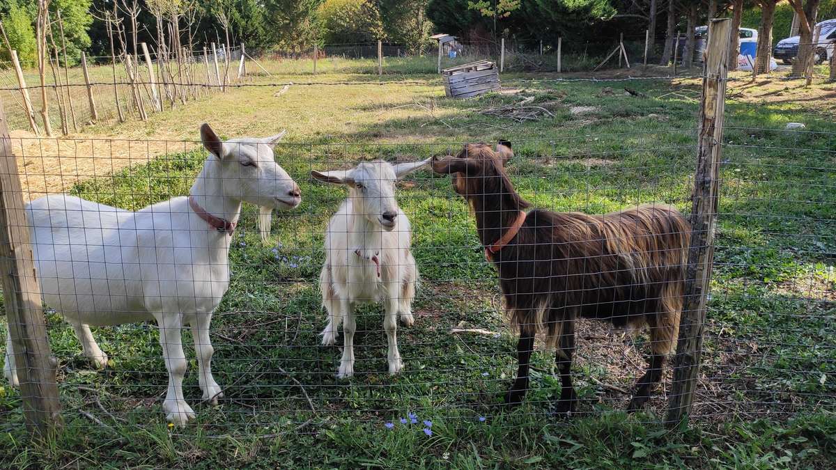 Domaine de Potofayol