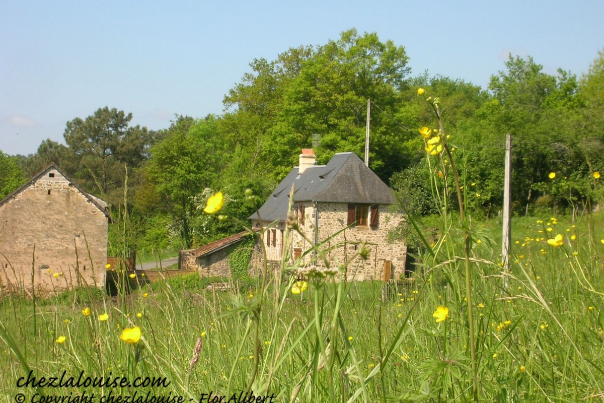 Chez La Louise, Terrasson-Lavilledieu - photo 11