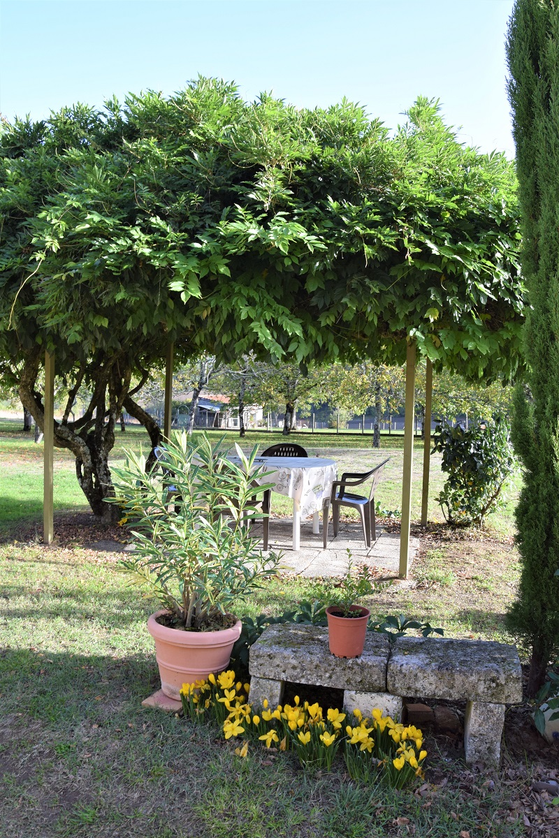 Gîte Chez Roger, Segonzac - photo 17