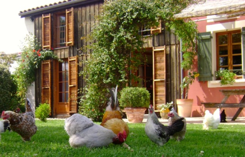 Domaine de Méroc - B&B Chez Véronique et Thomas - photo 5