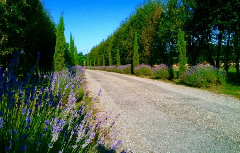 Domaine de Méroc - B&B Chez Véronique et Thomas - photo 3