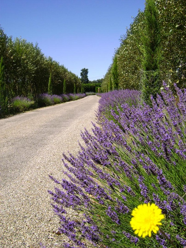 Domaine de Méroc - B&B Chez Véronique et Thomas, Le Mas-d'Agenais - photo 6