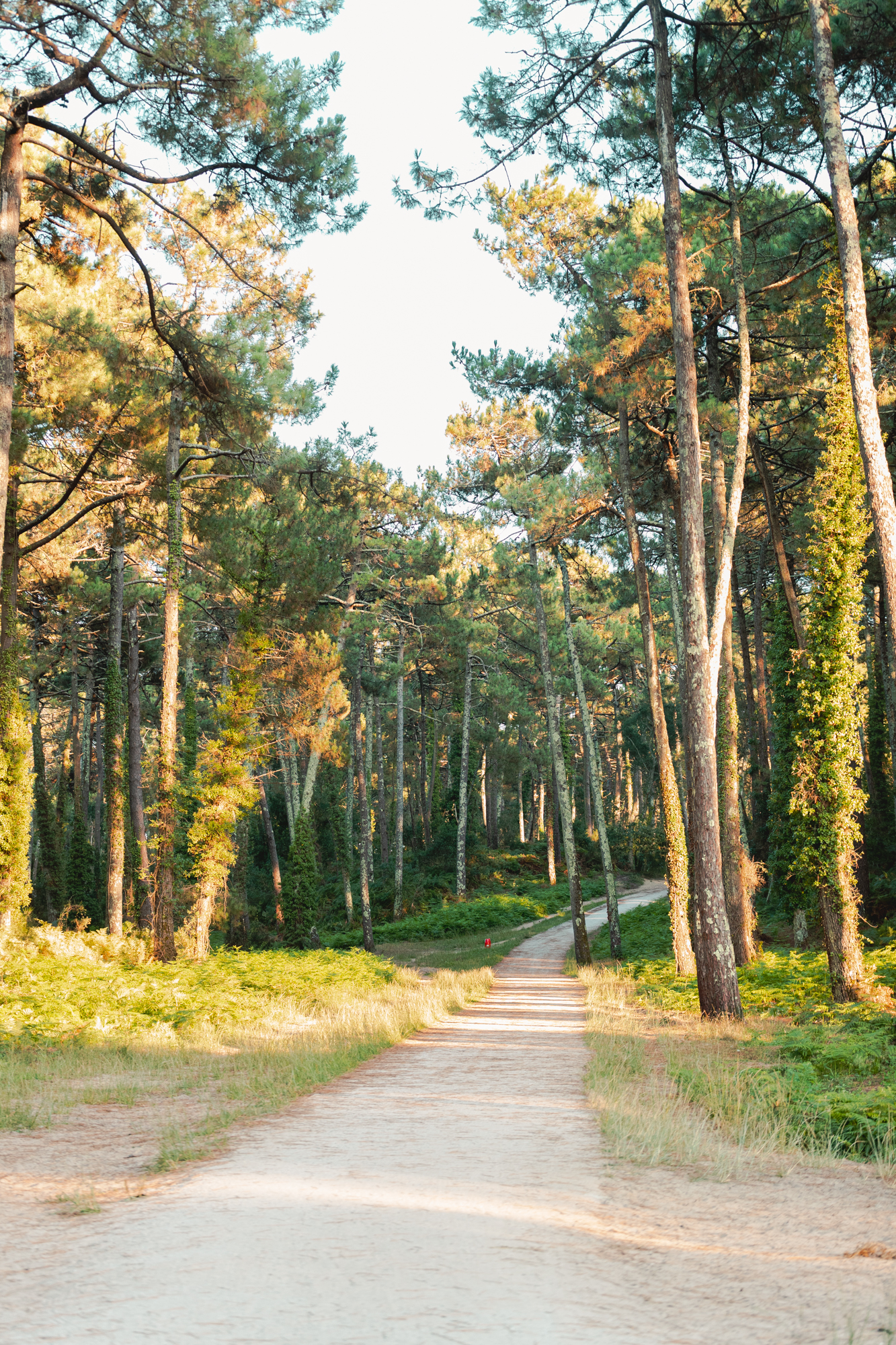 Voie verte du Pignada - photo 4