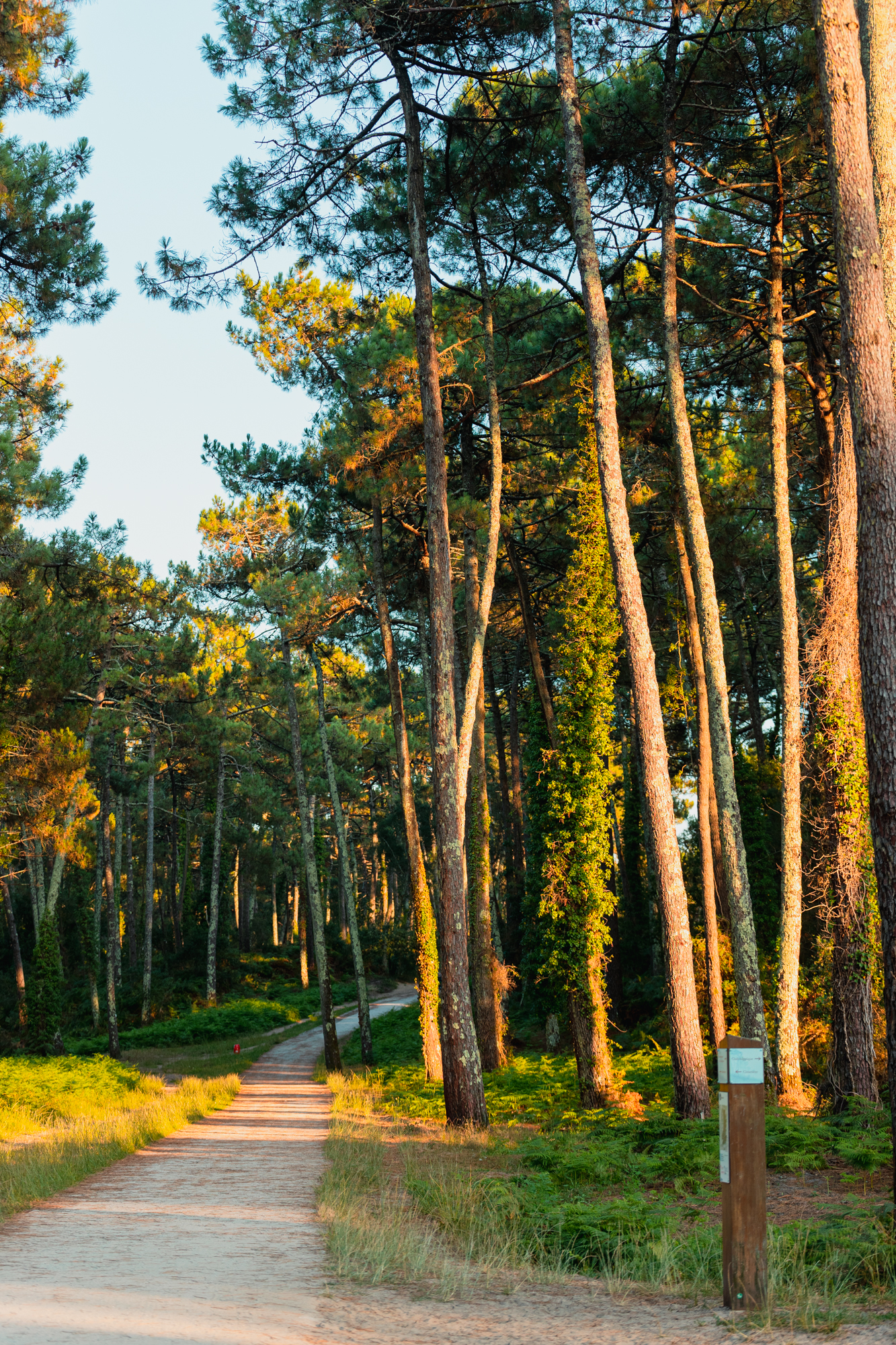 Voie verte du Pignada - photo 3