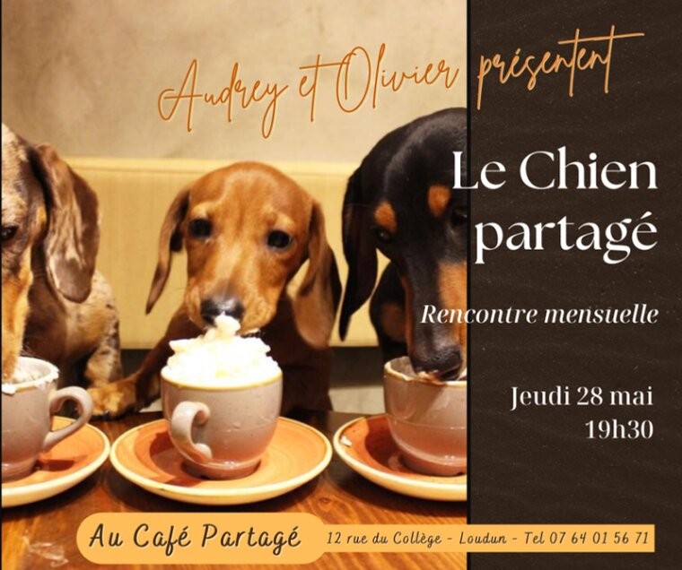 Le chien partagé — visuel événement