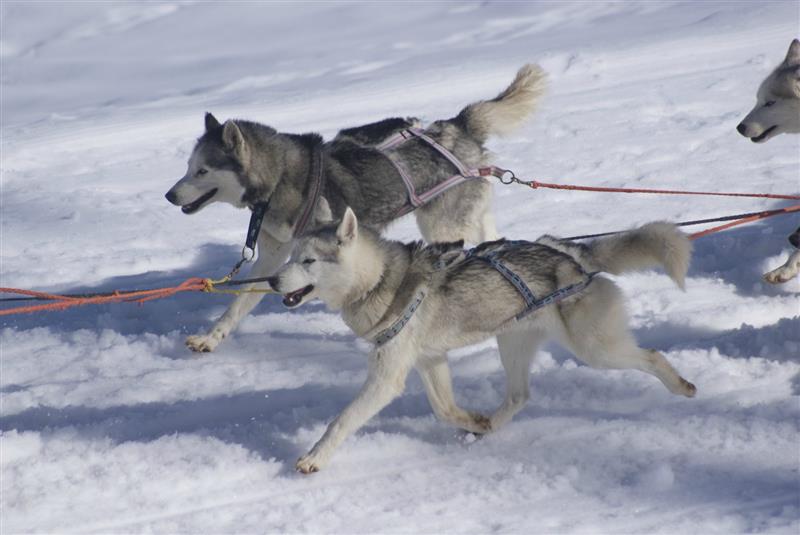 Nordic'Espace 