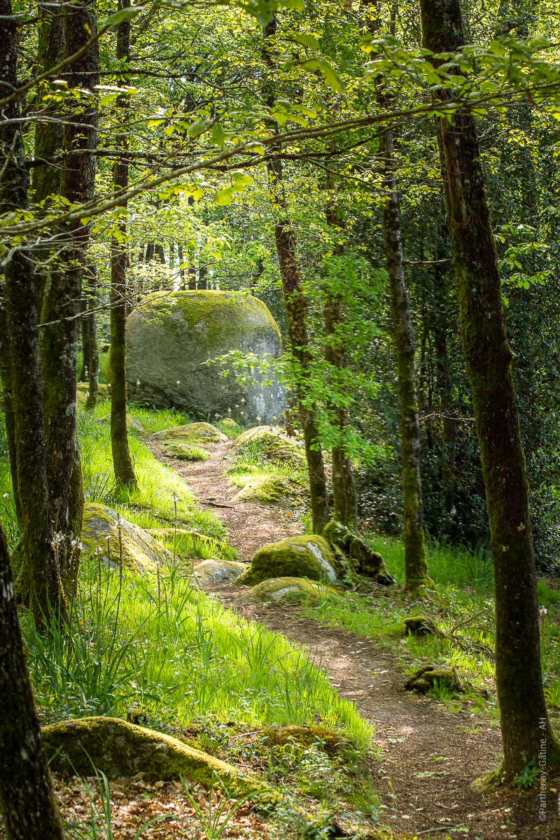 De la vallée de la Vonne à Bois Pouvreau - photo 2