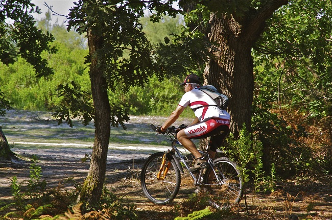Bike Company 33 - photo 2