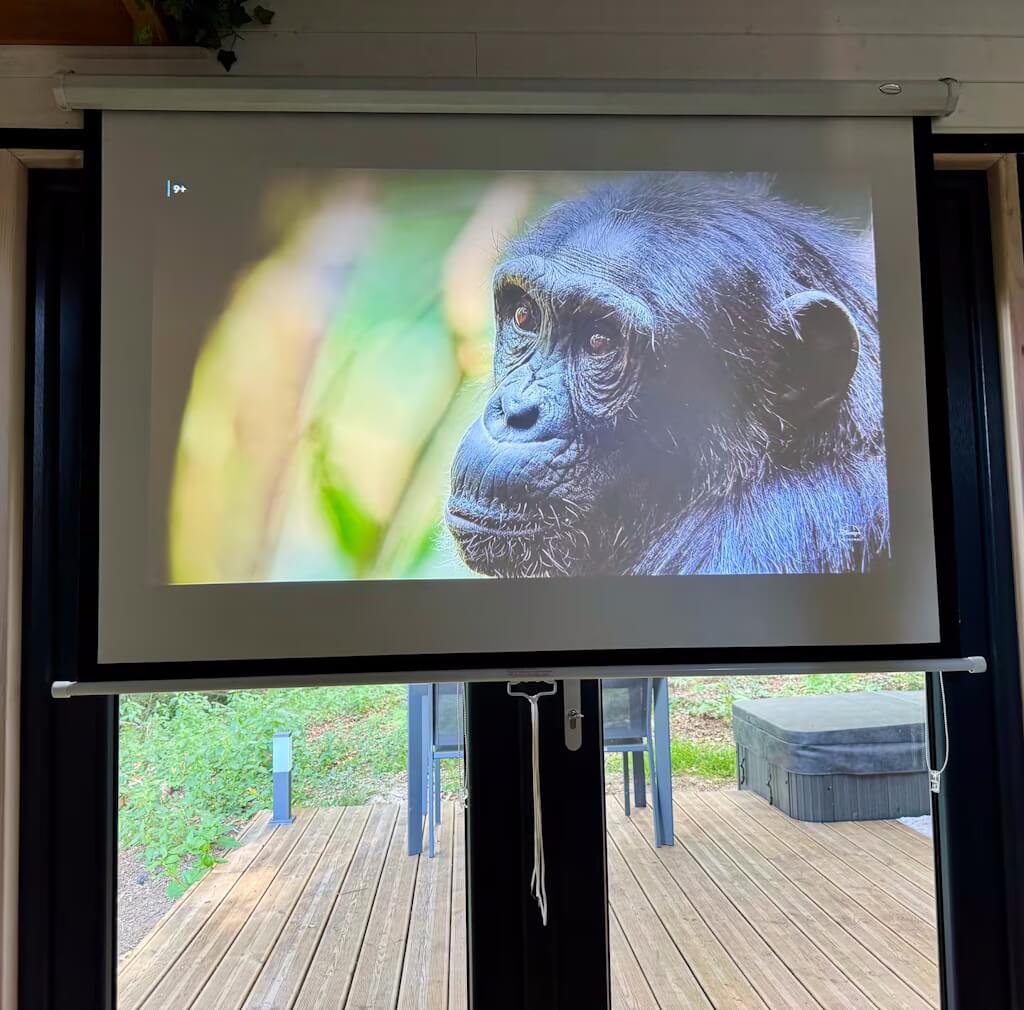 La Tiny House de Terrasson, Marval - photo 6