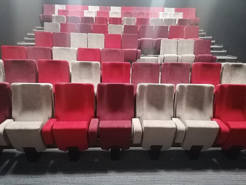 Cinéma Le Rex, Tonneins - photo 5