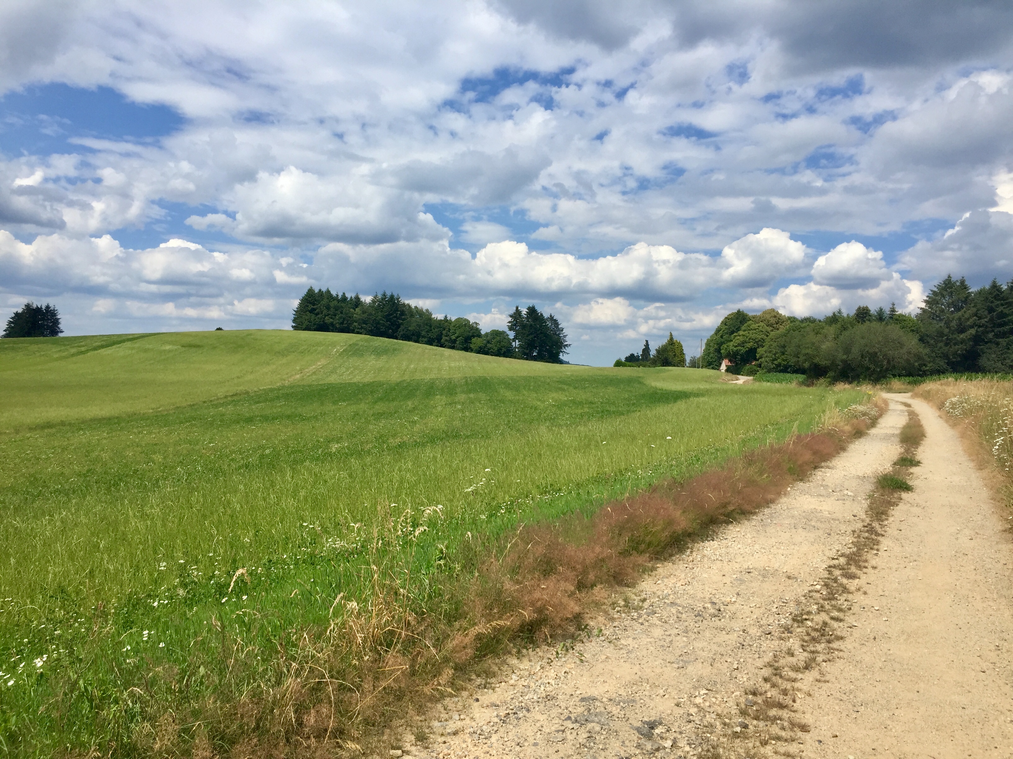 Circuit des charbonnières, Cheissoux - photo 3