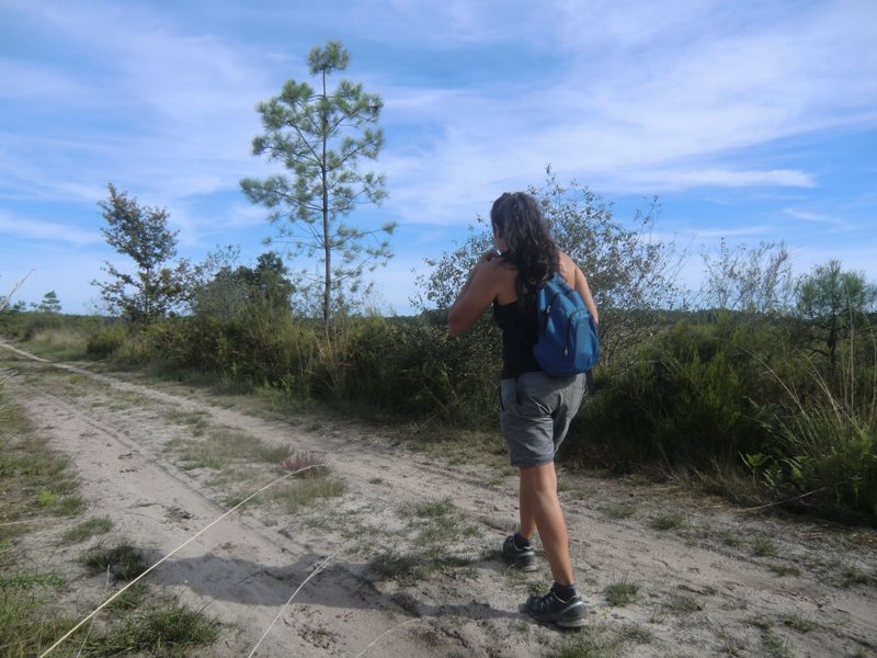 A Garein, la forêt inspiratrice, Garein - photo 6