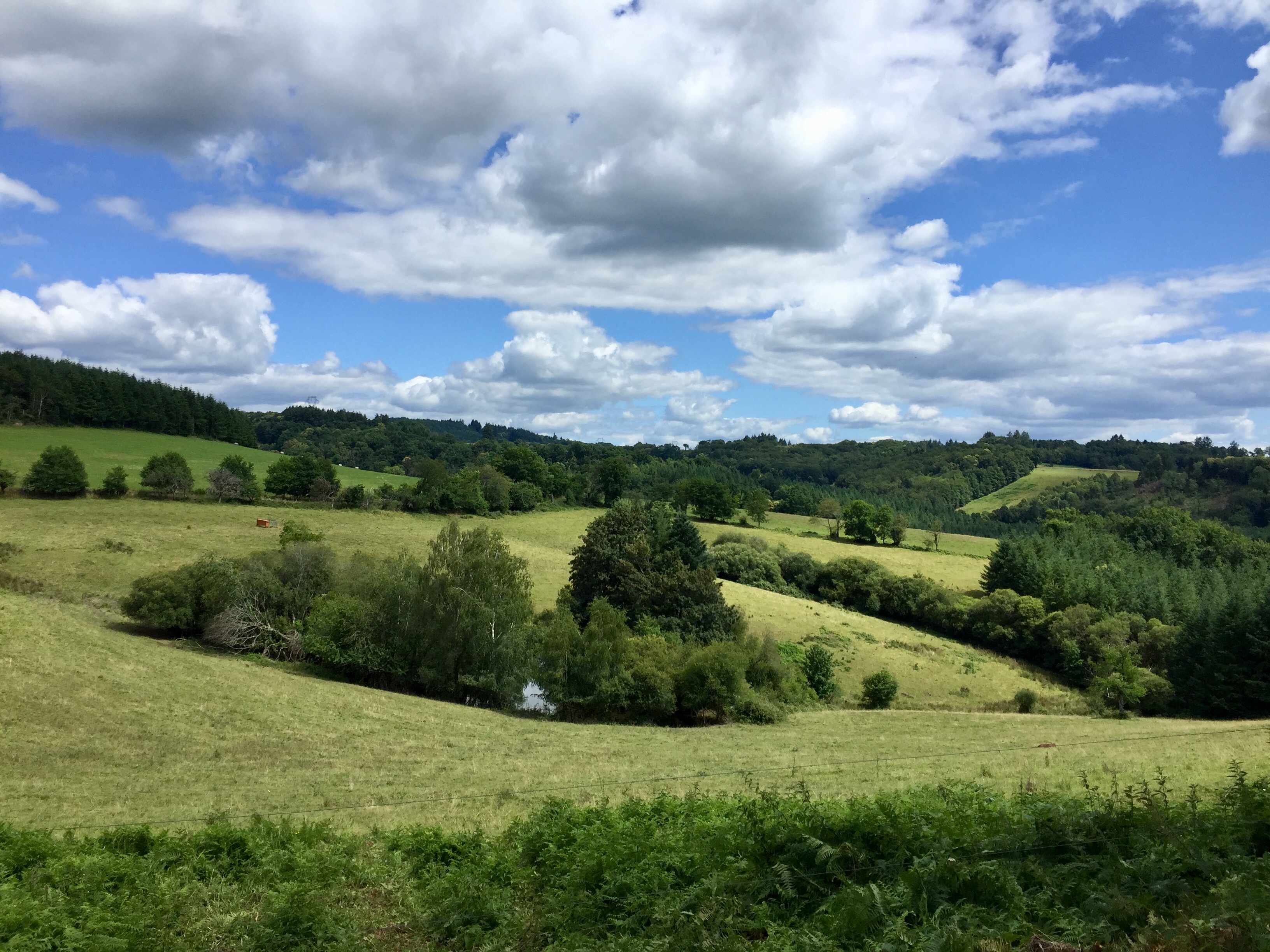 Chemin de la Chapelle de Grigeas, Domps - photo 3