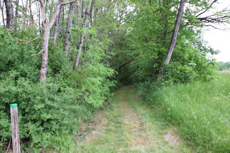 Circuit de la Roquille