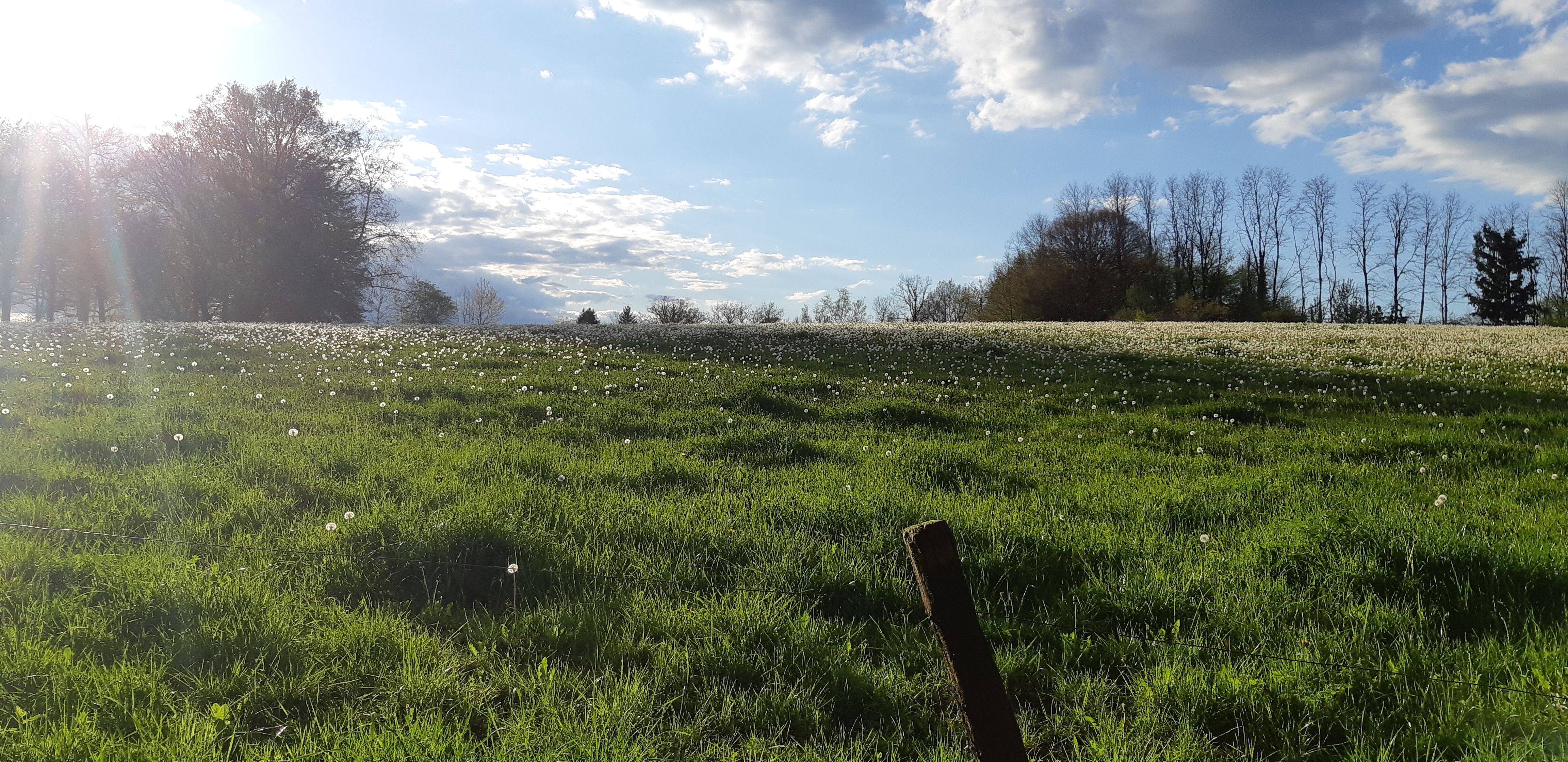 Circuit des deux bourgs