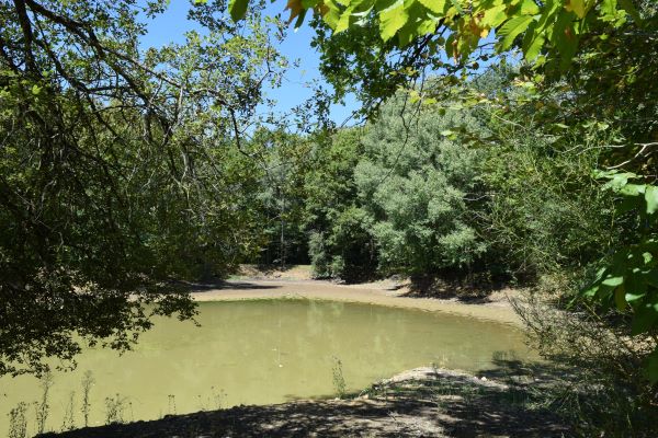 Le circuit des bois, Soudan