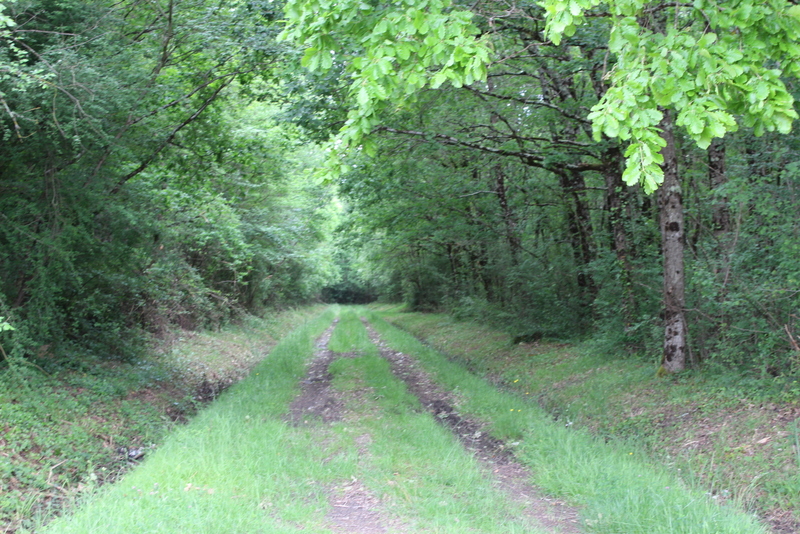 Circuit du pont des gouttes à Saint-Avit-Saint-Nazaire, Saint-Avit-Saint-Nazaire