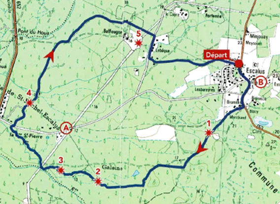A Saint-Michel-Escalus, circuit du Bas-Rouge, Saint-Michel-Escalus - photo 2