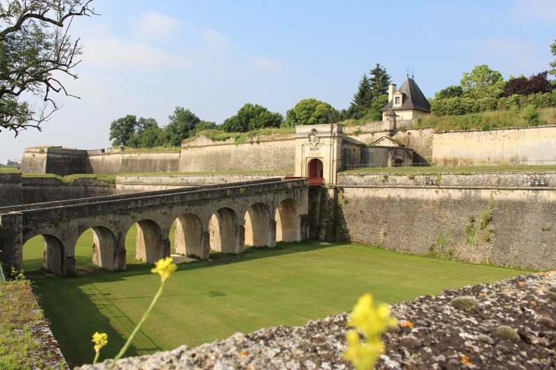 Boucle pédestre "Vignoble en citadelle" à Blaye, Blaye