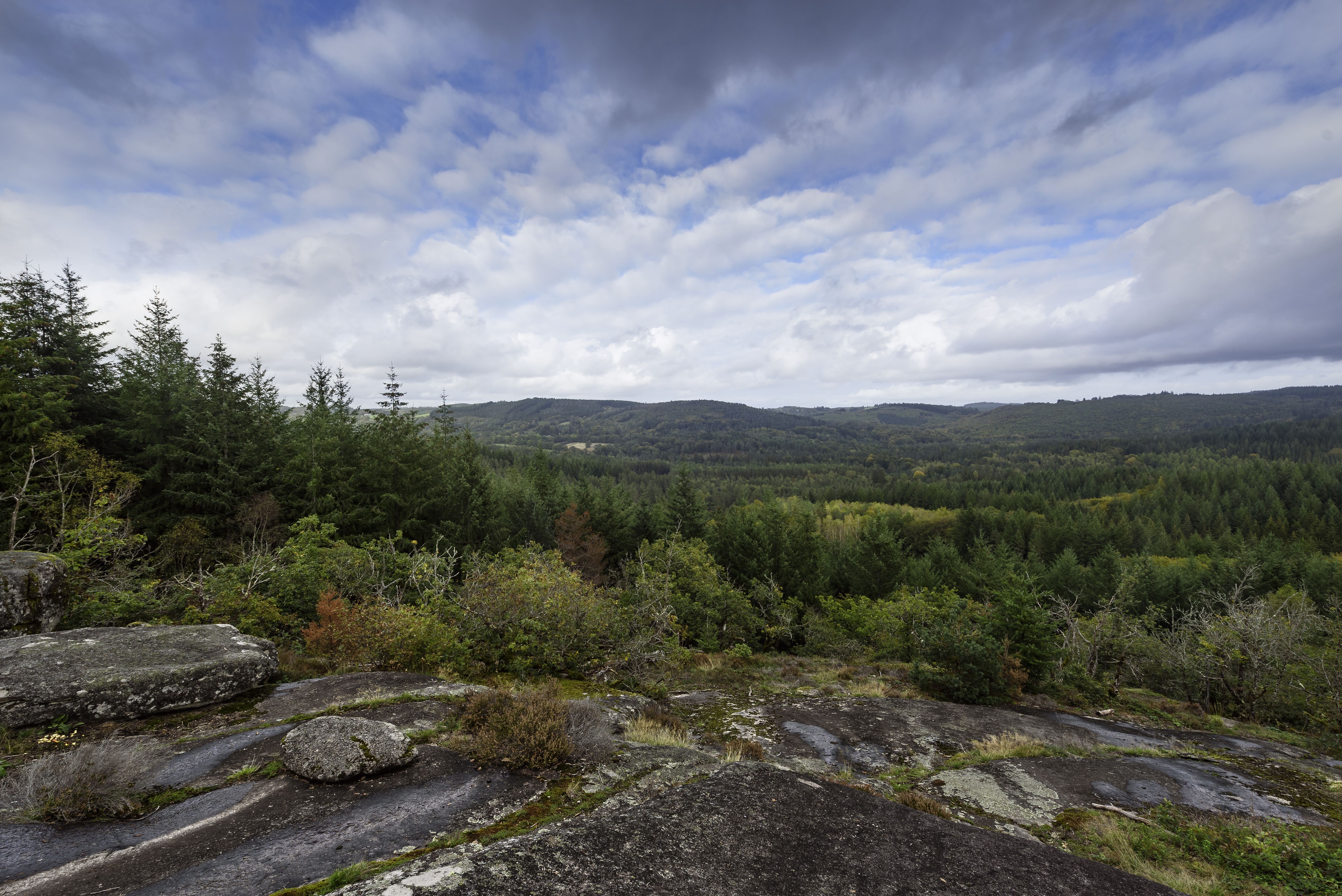 Circuit de découverte de Bonnefond - photo 4