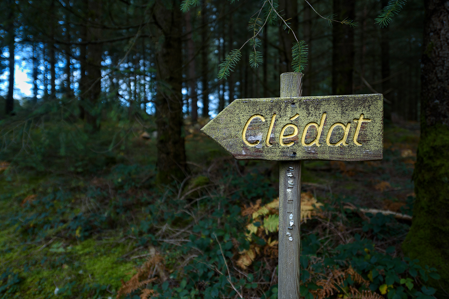 Clédat à VTT, Grandsaigne - photo 2