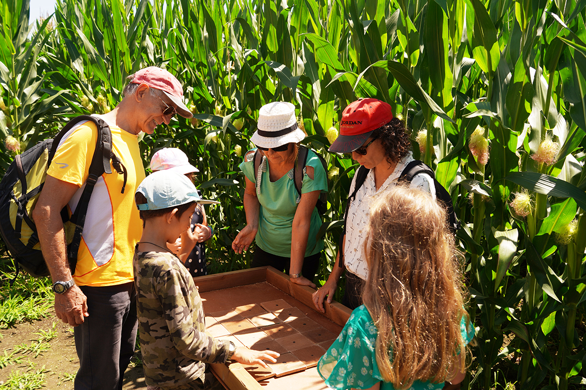 Labyrinthe Magique de Poitiers - photo 4